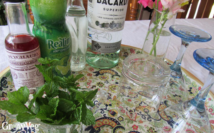 Mojito ingredients