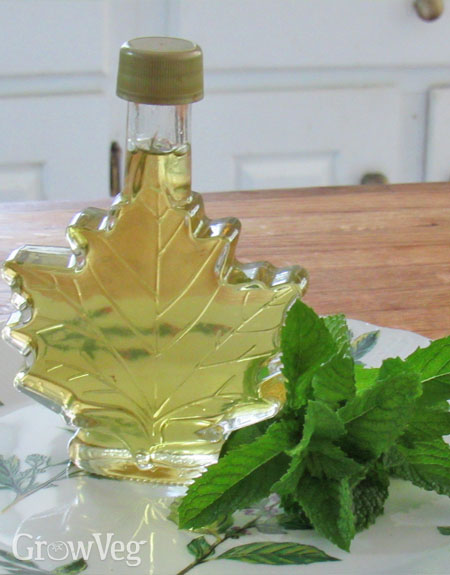 Mint syrup