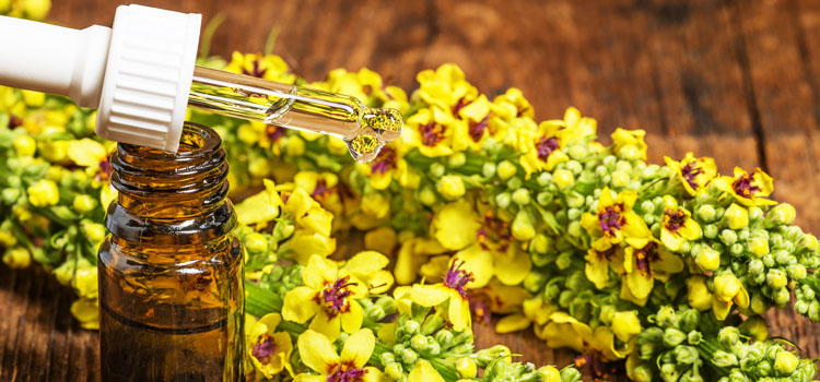 https://gardenplannerwebsites.blob.core.windows.net/blog/mullein-medicine-2x.jpg