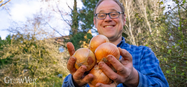 Ben Vanheems with onions