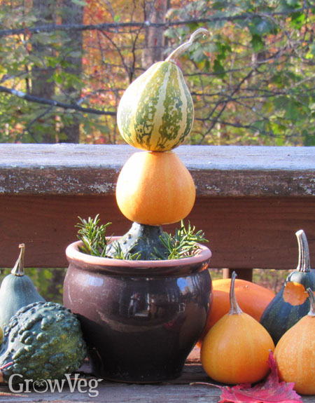 Outdoor gourd display