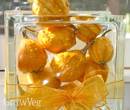 Vase of gourds