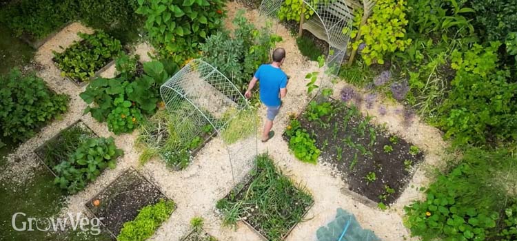 Ben's garden from above