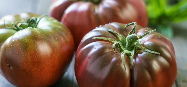 'Black Brandywine' tomatoes