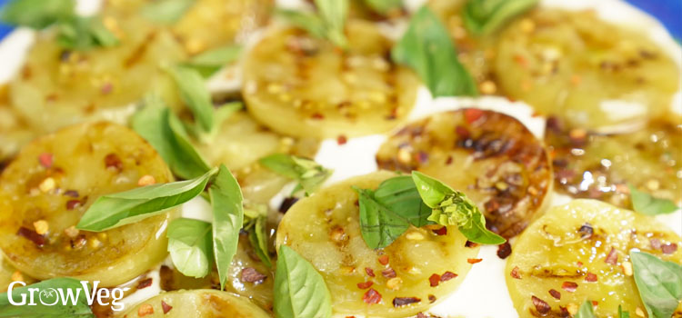 Griddled green tomatoes