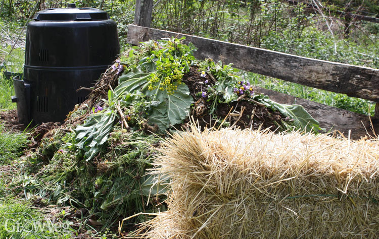 Compost and straw bale