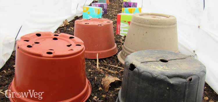Upturned pots covering plants for an extra layer of protection inside a row cover tunnel