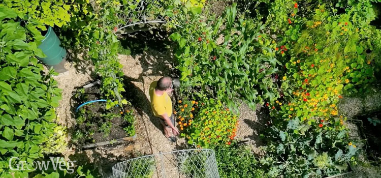 Ben in the garden