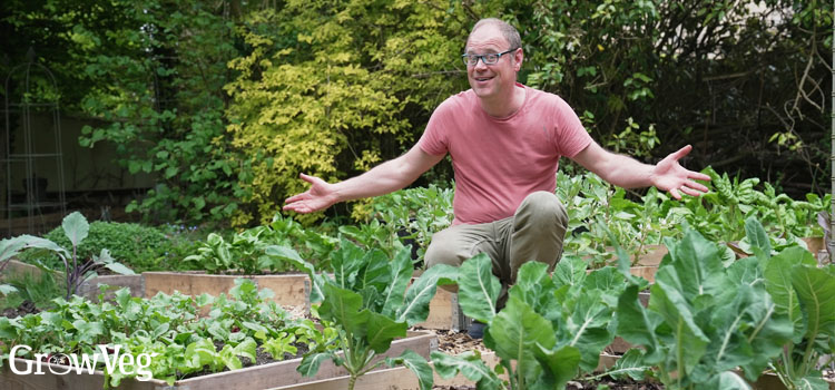 Ben in the garden
