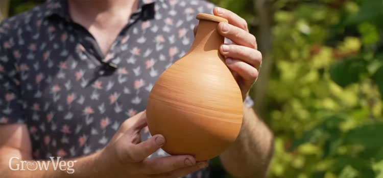 Self-Watering Plant Globes - 16oz Terracotta Olla Spikes For Slow-Release Watering, Bonus Garden Shears Included