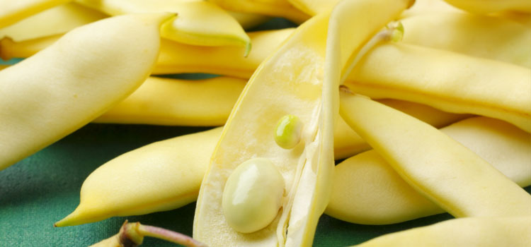 Yellow wax beans